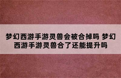 梦幻西游手游灵兽会被合掉吗 梦幻西游手游灵兽合了还能提升吗